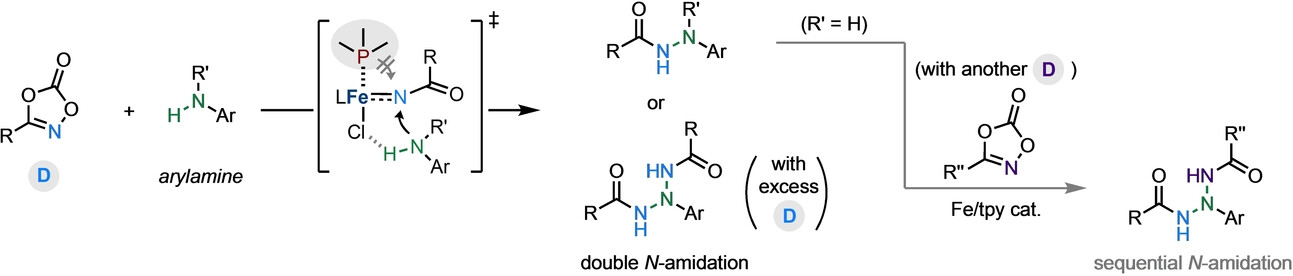 Ligand-Promoted Iron-Catalyzed Nitrene Transfer for the Synthesis of Hydrazines and Triazanes through N-Amidation of Arylamines