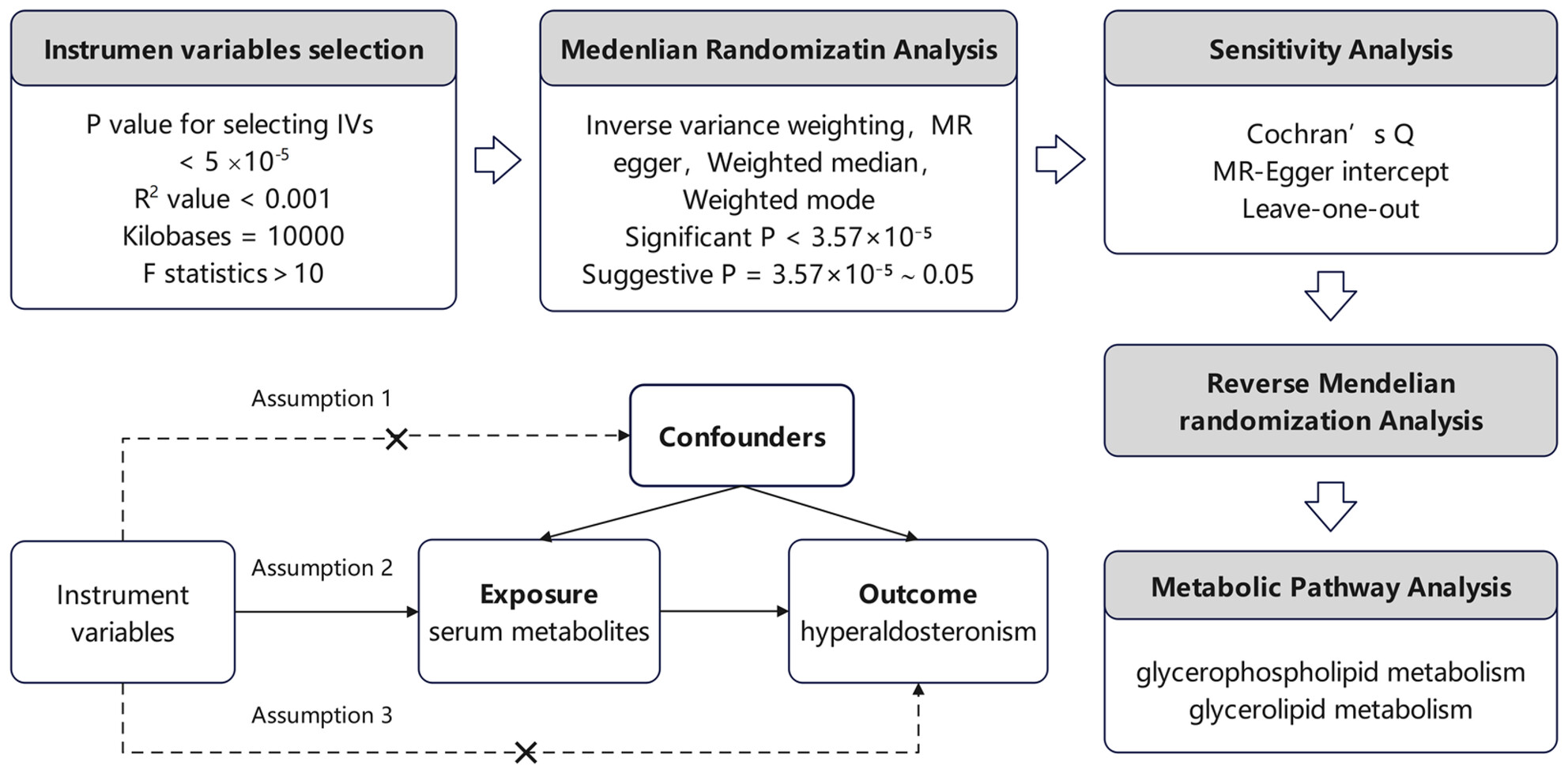 Mendelian Randomization Analysis Reveals Causal Effects of Circulating Metabolites on Hyperaldosteronism