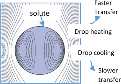 Non-Isothermal Mass Transfer in Fluid Drops with Internal Circulation