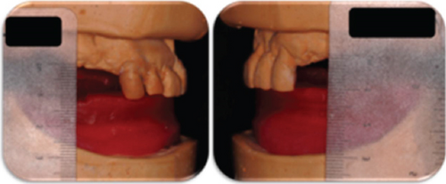 Details are in the caption following the image