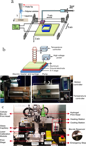 Details are in the caption following the image Details are in the caption following the image