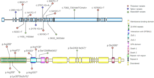 Details are in the caption following the image Details are in the caption following the image