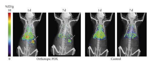 Details are in the caption following the image