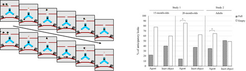On the domain specificity of the mechanisms underpinning spontaneous anticipatory looks in false-belief tasks