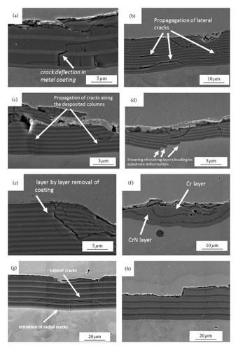 Details are in the caption following the image