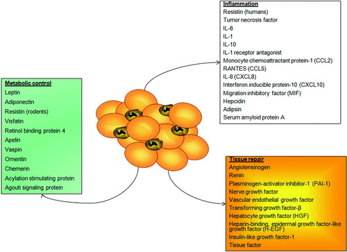 Details are in the caption following the image Details are in the caption following the image