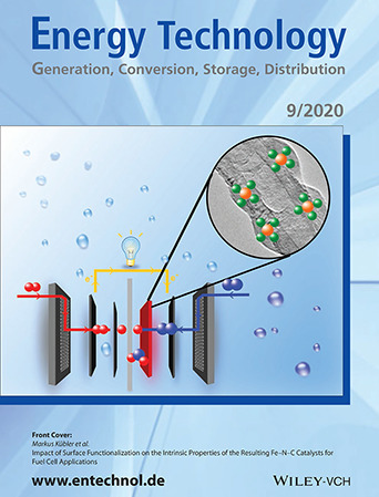 Impact of Surface Functionalization on the Intrinsic Properties of the Resulting Fe–N–C Catalysts for Fuel Cell Applications Volume 8 Issue 9, 2020