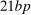 urn:x-wiley:00129682:media:ecta200477:ecta200477-math-0286