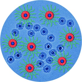 Multifunctional Uniform Nanoparticles Composed of a Magnetite Nanocrystal Core and a Mesoporous Silica Shell for Magnetic Resonance and Fluorescence Imaging and for Drug Delivery