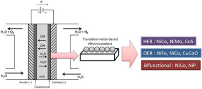 Recent developments on transition metal–based electrocatalysts for application in anion exchange membrane water electrolysis
