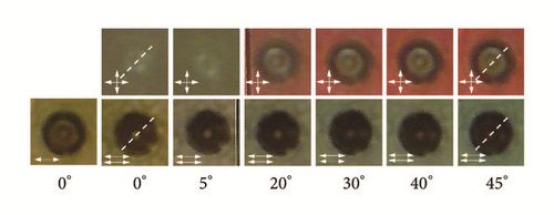 Details are in the caption following the image