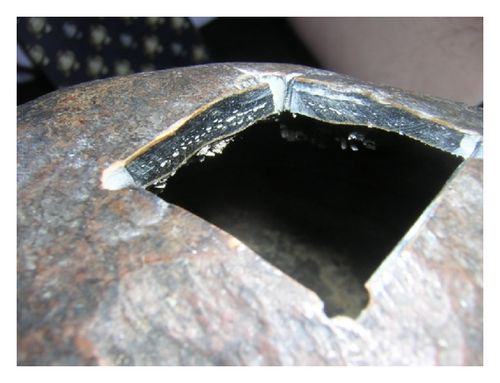Details are in the caption following the image Details are in the caption following the image