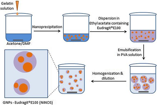 Stabilization of Gelatin Nanoparticles Without Crosslinking