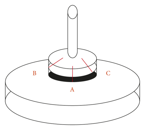Details are in the caption following the image