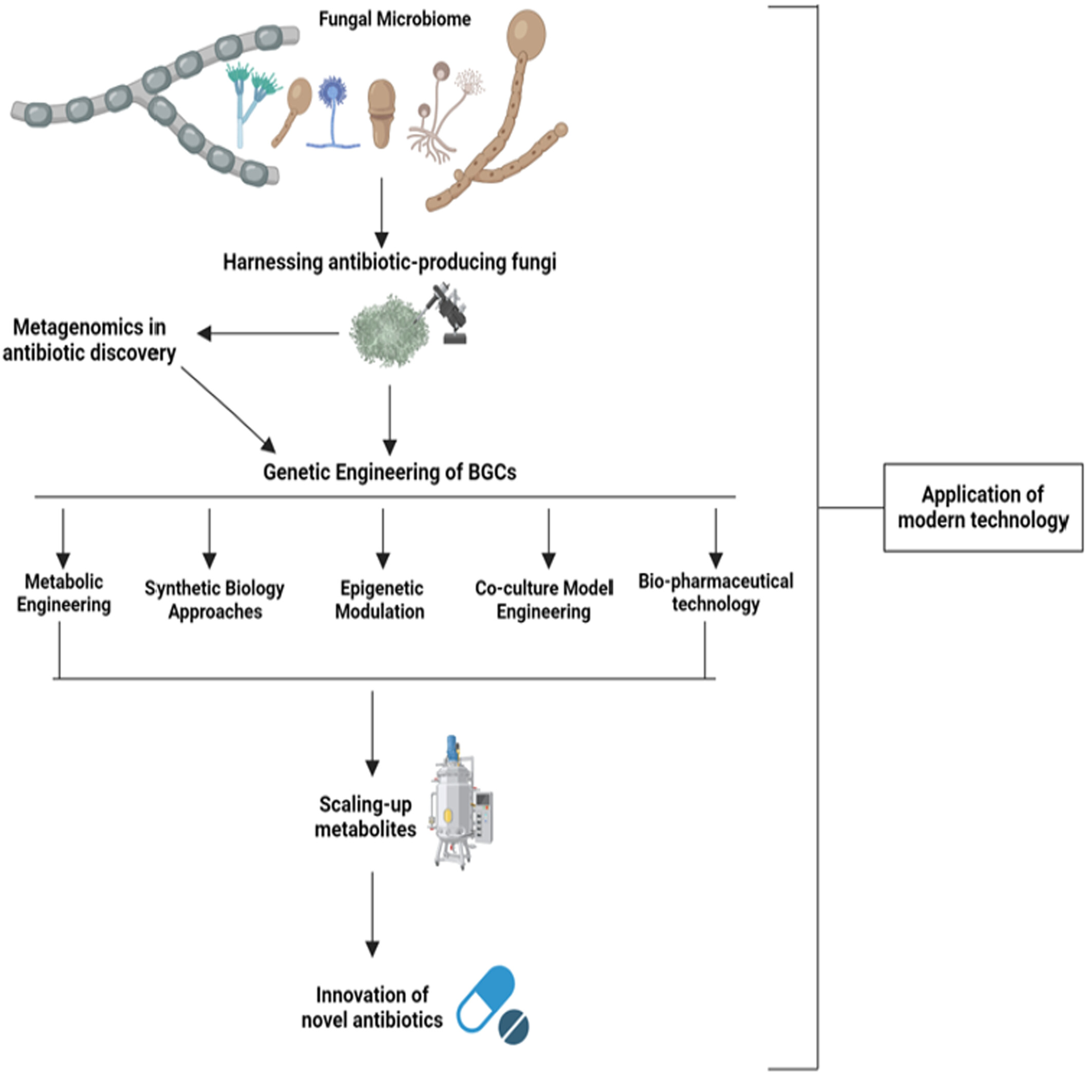 Analyzing the Challenges and Opportunities Associated With Harnessing New Antibiotics From the Fungal Microbiome