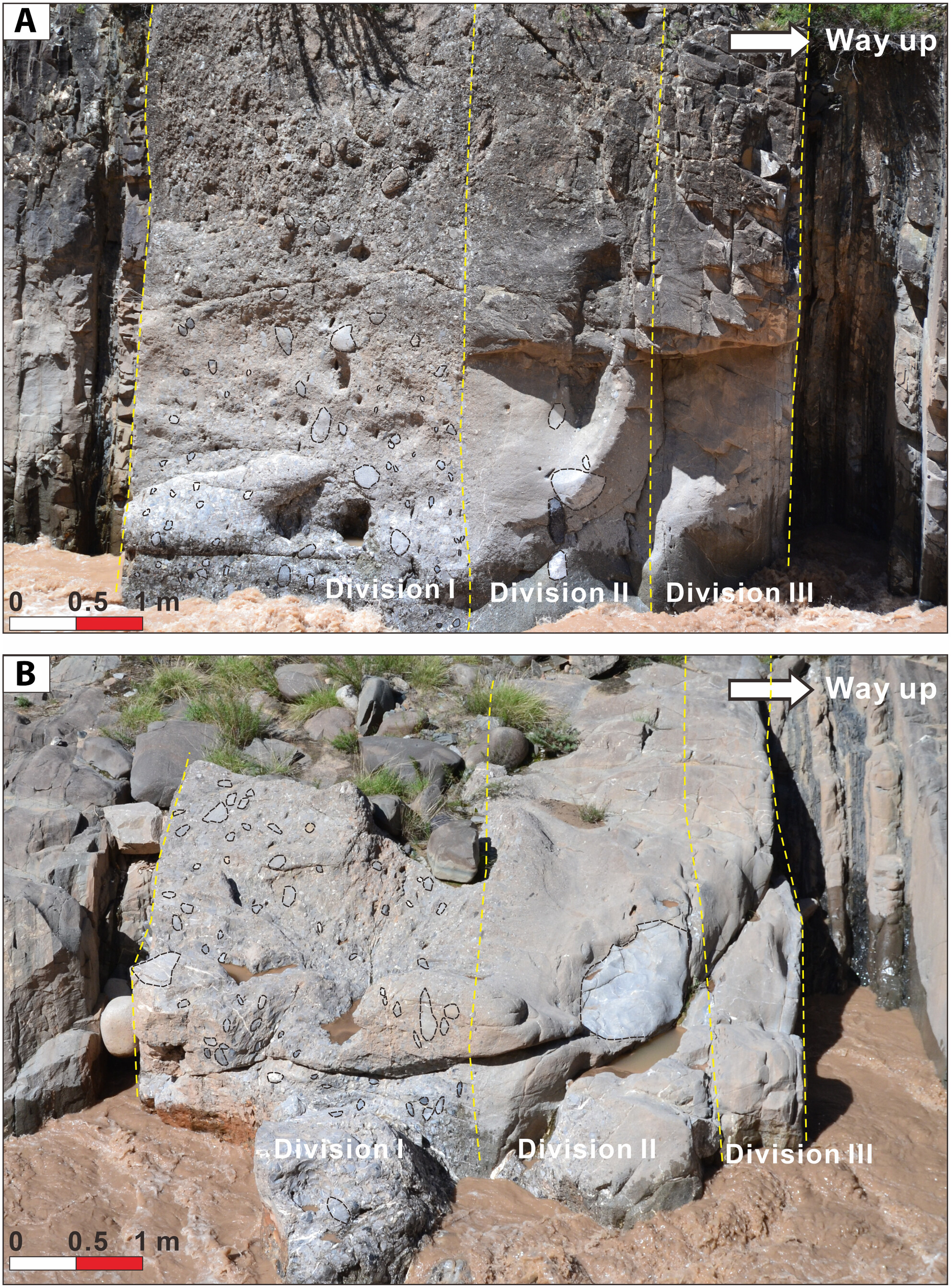 Carbonate-rich megabeds within a Triassic siliciclastic deep-water system, West Qinling orogenic belt, Central China: Character, processes and implications