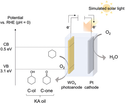 Photo-Electrochemical C−H Bond Activation of Cyclohexane Using a WO3 Photoanode and Visible Light
