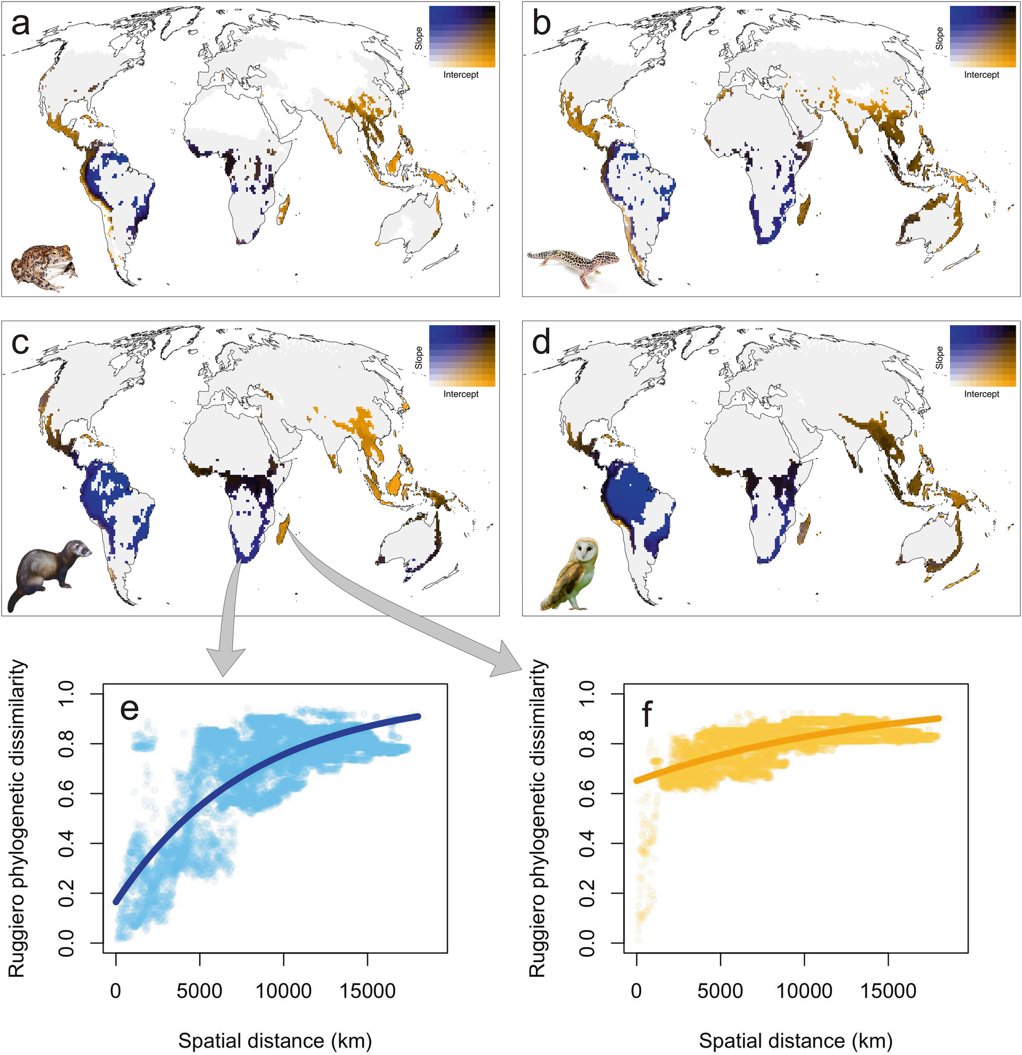 Areas of High Biodiversity Value Evidenced by the Spatial Scaling of Phylogenetic Uniqueness Issue 7, 2025