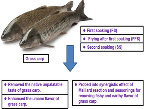 Nonvolatile taste compounds of Shanghai smoked fish: A novel three stages control techniques