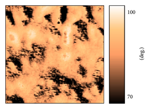 Details are in the caption following the image Details are in the caption following the image