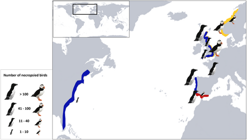 Details are in the caption following the image Details are in the caption following the image