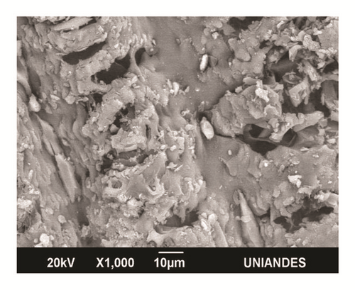Details are in the caption following the image