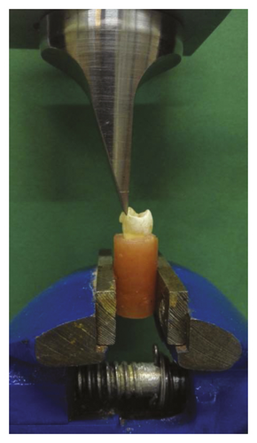 Details are in the caption following the image