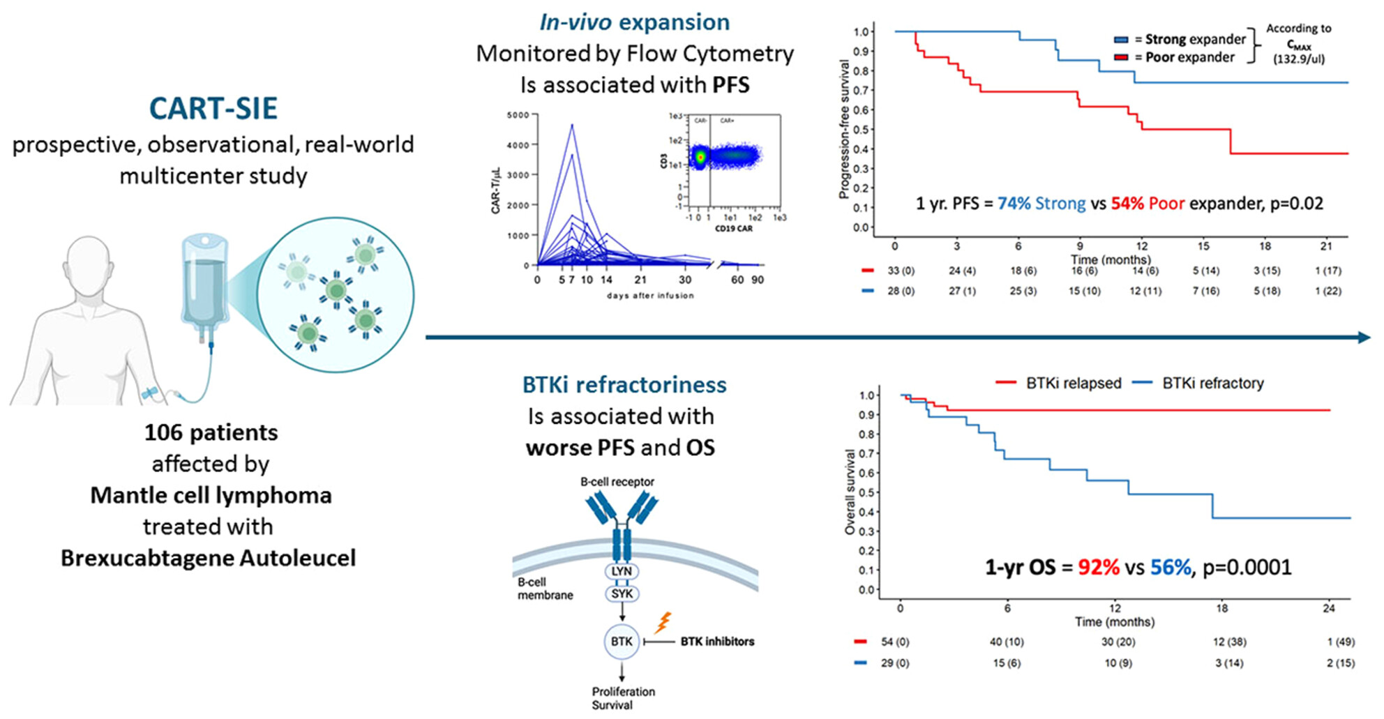 Brexucabtagene autoleucel in-vivo expansion and BTKi refractoriness have a negative influence on progression-free survival in mantle cell lymphoma: Results from CART-SIE study