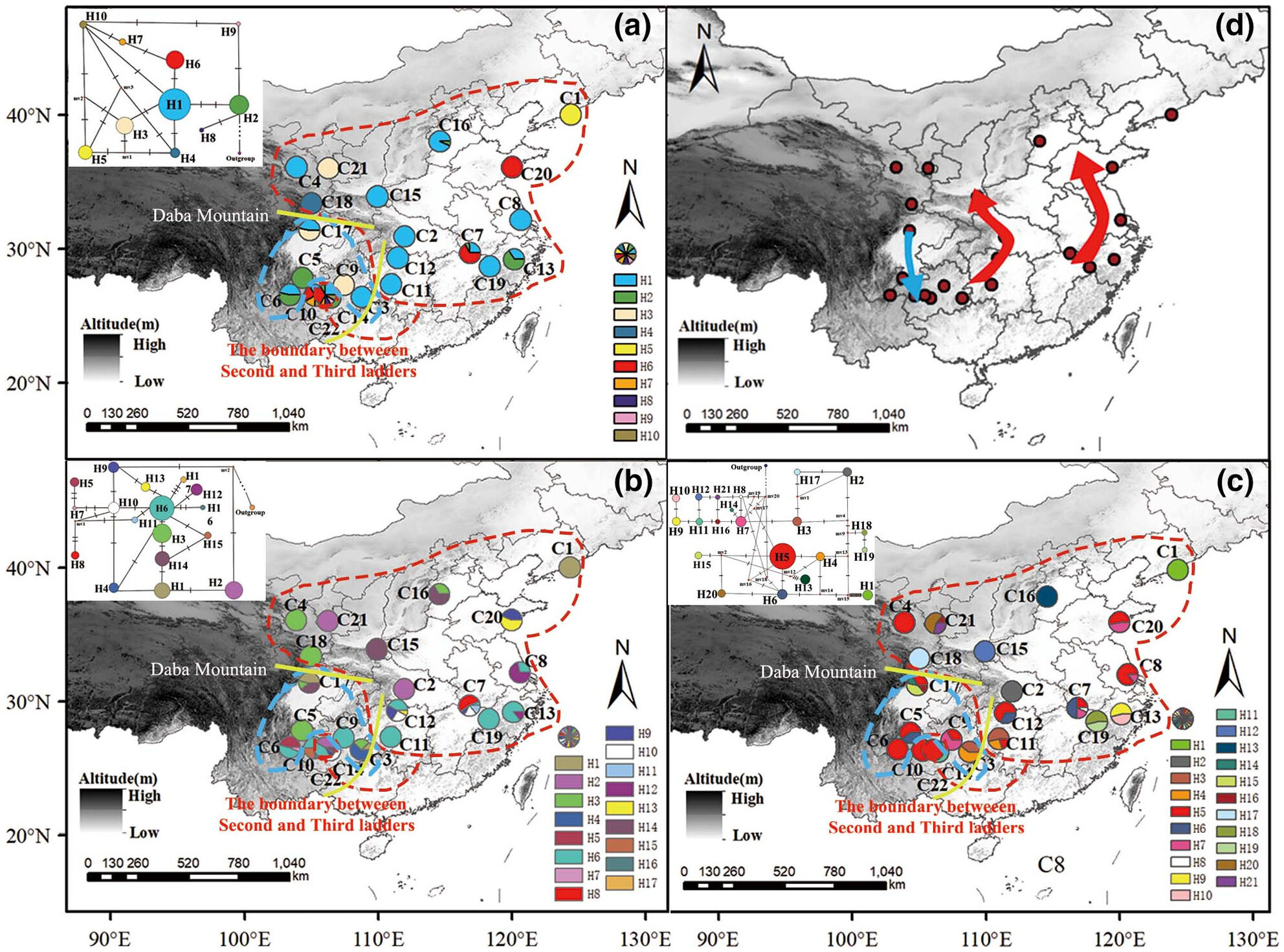 Phylogeography of a herbal Pinellia ternata reveals repeated range expansions and inter/postglacial recolonization routes on the fragmented distribution pattern in China