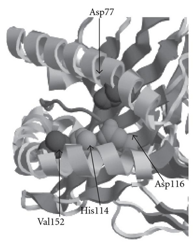Details are in the caption following the image