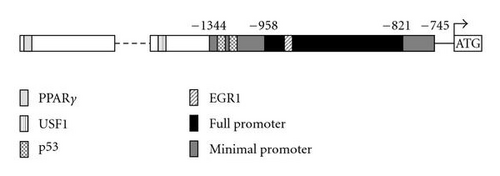 Details are in the caption following the image