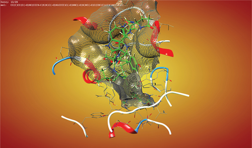 Details are in the caption following the image Details are in the caption following the image