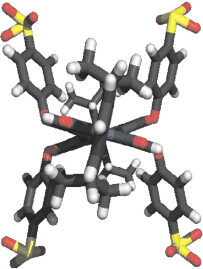 Ionic Perylenetetracarboxdiimides: Highly Fluorescent and Water-Soluble Dyes for Biolabeling