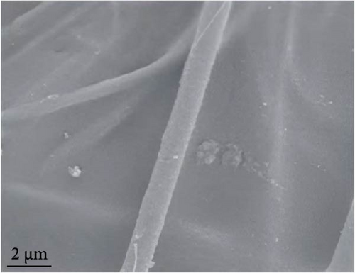 Details are in the caption following the image