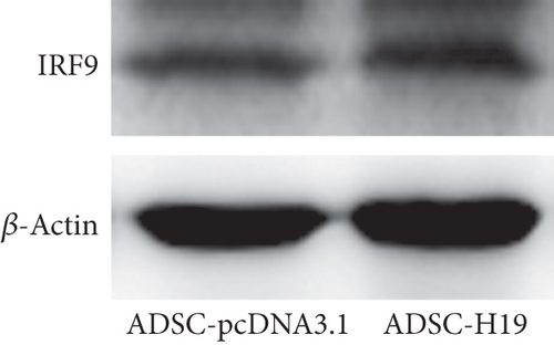 Details are in the caption following the image