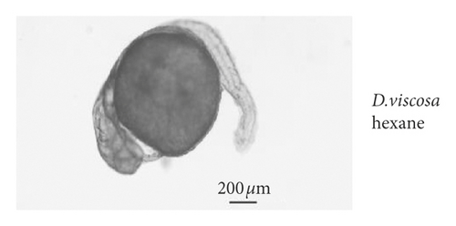 Details are in the caption following the image