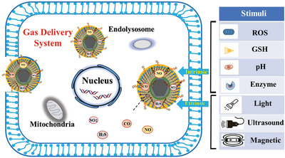 Therapeutic gas-releasing nanomedicines with controlled release: Advances and perspectives