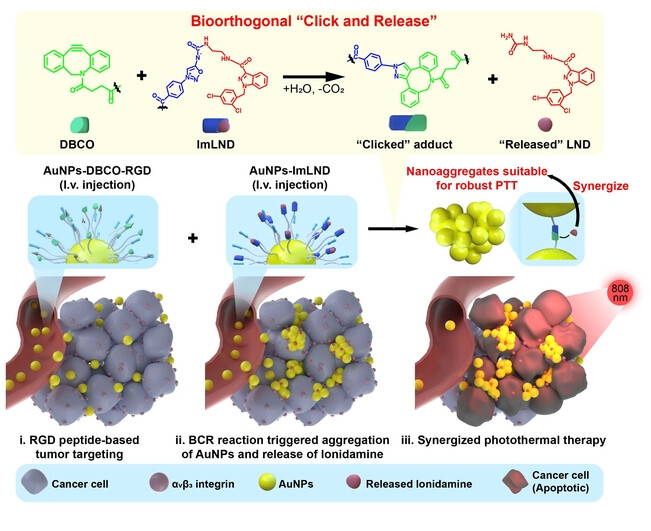 Bioorthogonal “Click and Release” Reaction-Triggered Aggregation of Gold Nanoparticles Combined with Released Lonidamine for Enhanced Cancer Photothermal Therapy