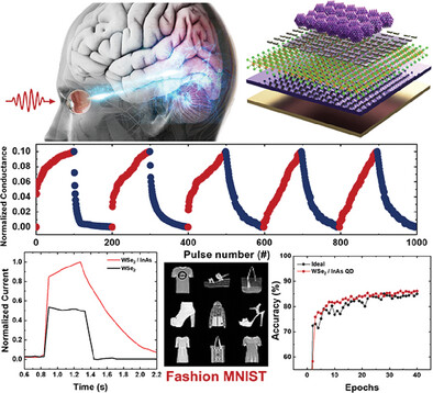 Infrared-Triggered Retinomorphic Artificial Synapse Electronic Device Containing Multi-Dimensional van der Waals Heterojunctions