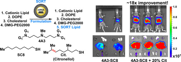 A Systematic Study of Unsaturation in Lipid Nanoparticles Leads to Improved mRNA Transfection In Vivo