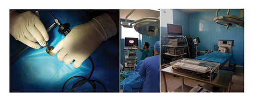 Details are in the caption following the image Details are in the caption following the image