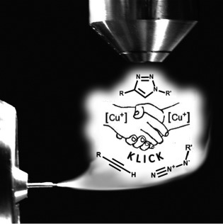 Dinuclear Copper Intermediates in Copper(I)-Catalyzed Azide–Alkyne Cycloaddition Directly Observed by Electrospray Ionization Mass Spectrometry