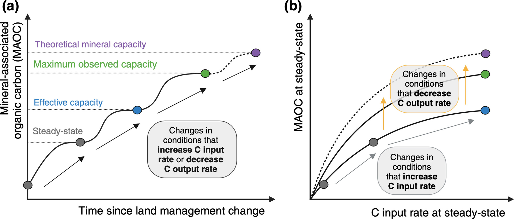 Soil Carbon Saturation: What Do We Really Know?