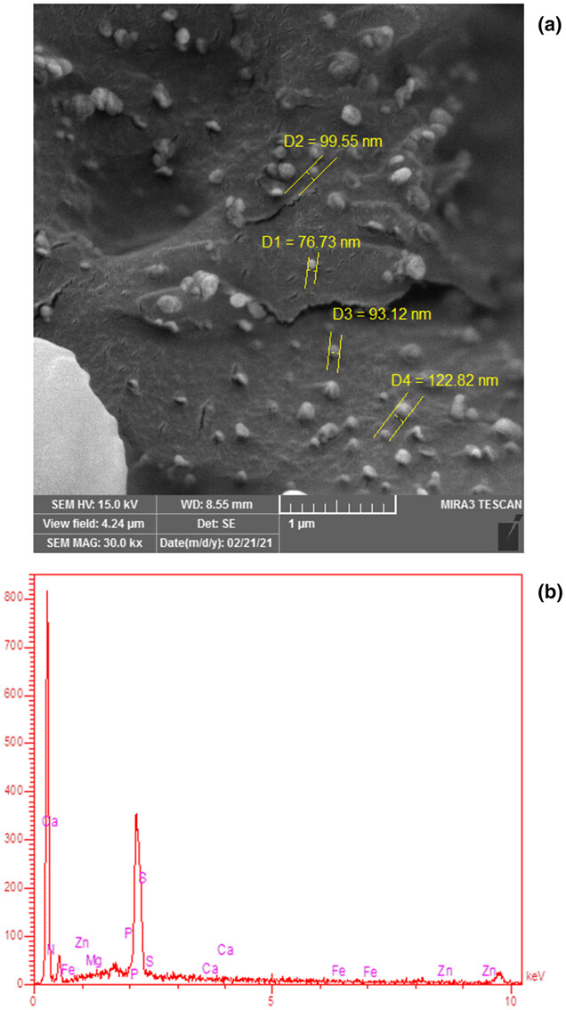 Lyophilized royal jelly preparation in nanoscale and evaluation of its physicochemical properties and bactericidal activity
