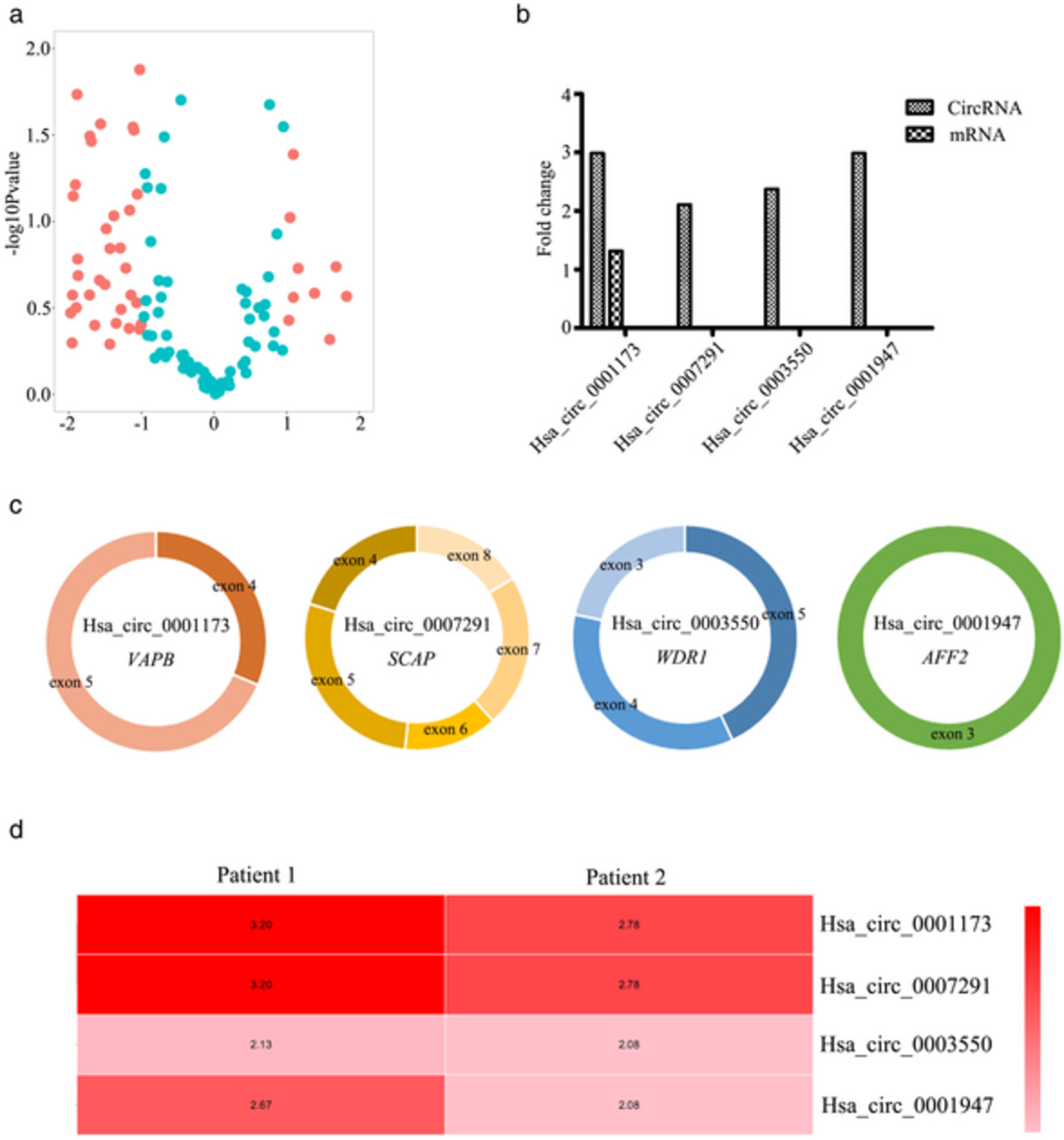 Identification of differentially expressed circular RNAs associated with thymoma