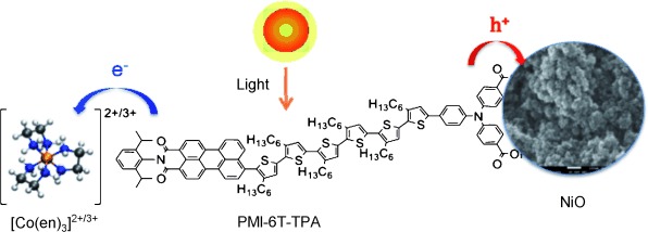 Highly Efficient p-Type Dye-Sensitized Solar Cells based on Tris(1,2-diaminoethane)Cobalt(II)/(III) Electrolytes