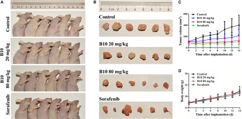 Details are in the caption following the image Details are in the caption following the image