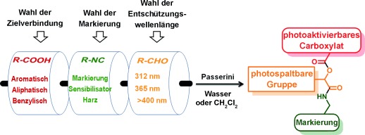 Photocaging of Carboxylic Acids: A Modular Approach