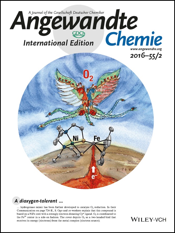 Back Cover: A High-Valent Iron(IV) Peroxo Core Derived from O2 (Angew. Chem. Int. Ed. 2/2016)