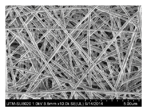 Details are in the caption following the image